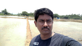 The making of an urban organic farmer, Kumar